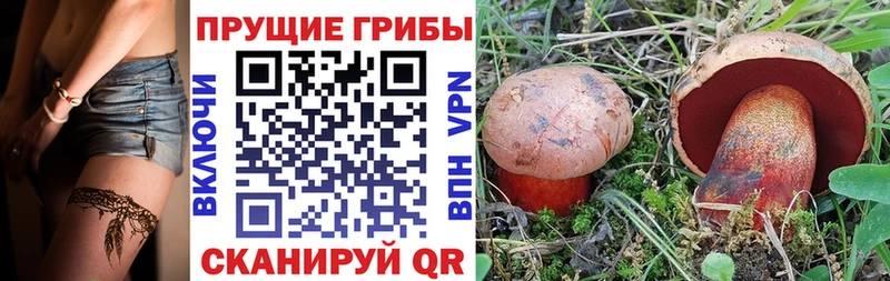 мориарти формула  Усть-Катав  Псилоцибиновые грибы GOLDEN TEACHER 